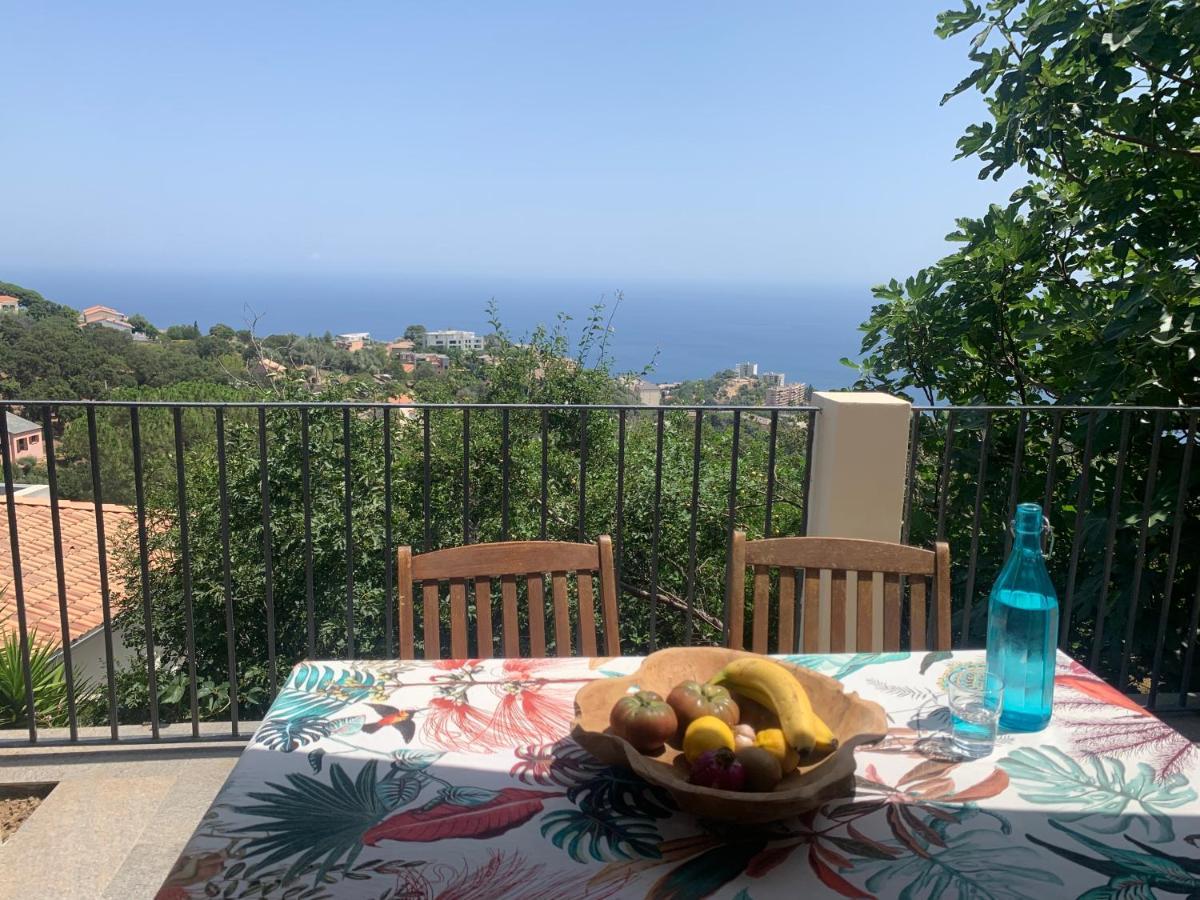 Appartement Rez De Avec Terrasse Vue Bastia (Corsica)