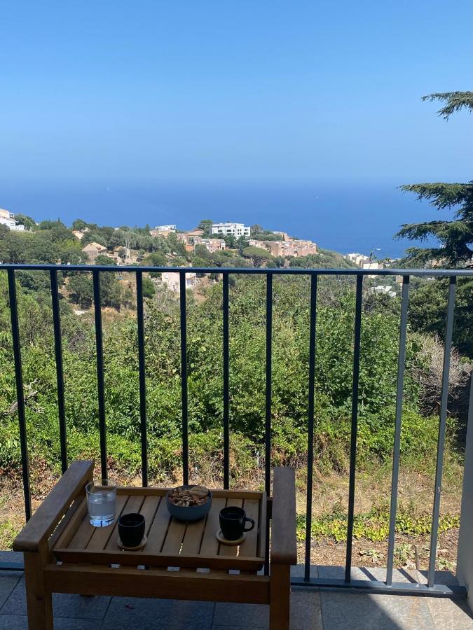 Rez De Avec Terrasse Vue Appartement