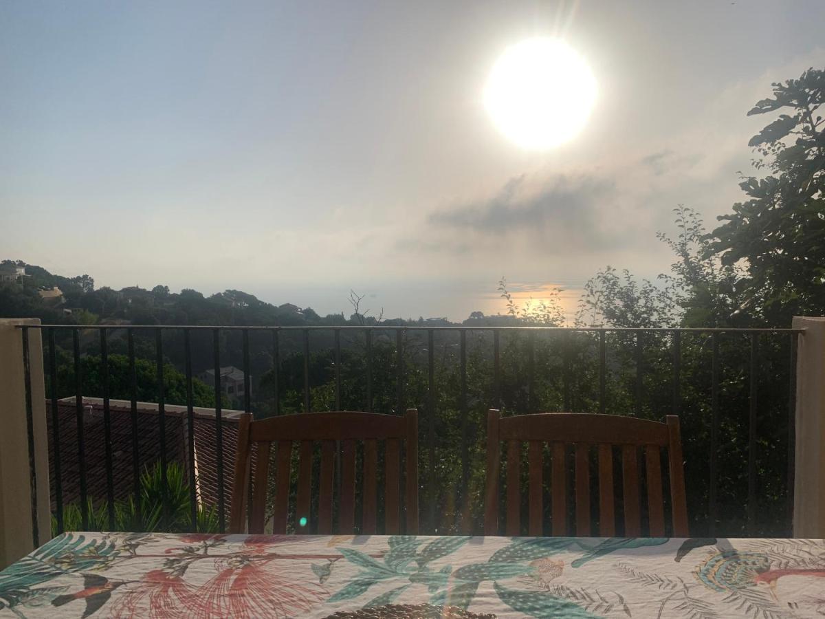 Rez De Avec Terrasse Vue *